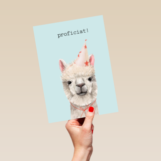 Verjaardag kaart hip happy birthday lama alpaca