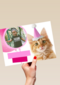 fotkaart met feestlijke kat