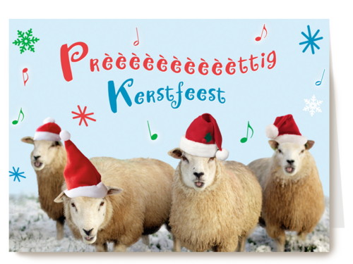 schapen prettig kerstfeest