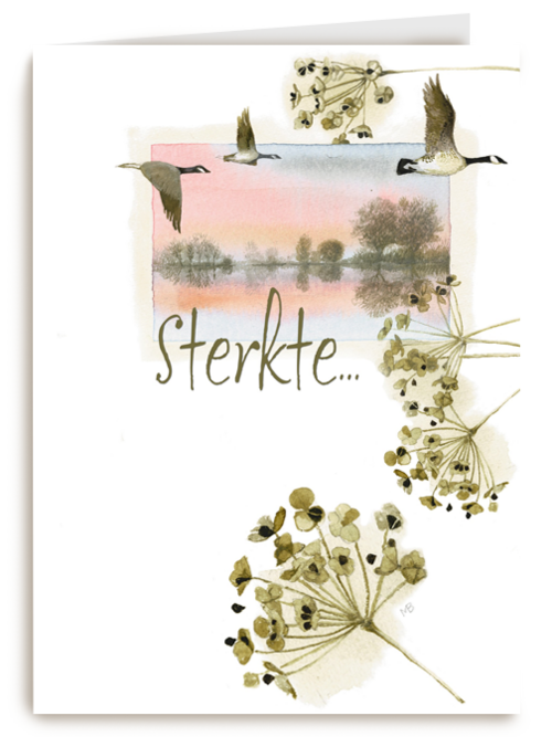 sterkte met dit verlies