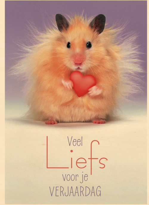 muis met hartje