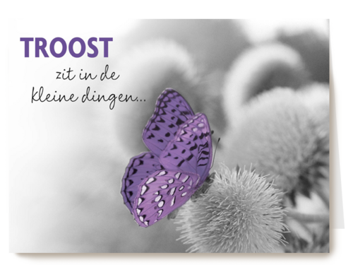 troost zit in kleine dingen 1