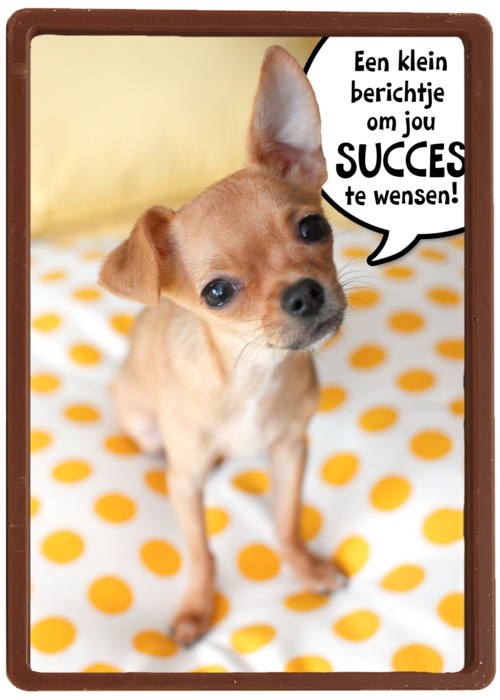 Chocolade Kaart | Hallmark | Puppy Met Spreekwolk