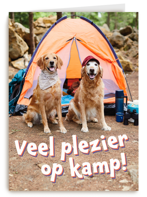 Op kamp kaart 2 honden bij tent