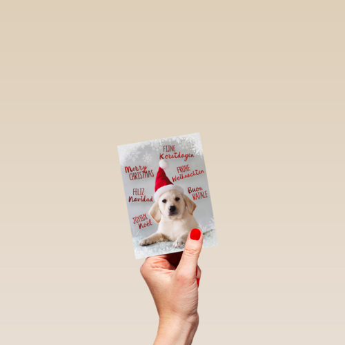 kerstpuppy met muts