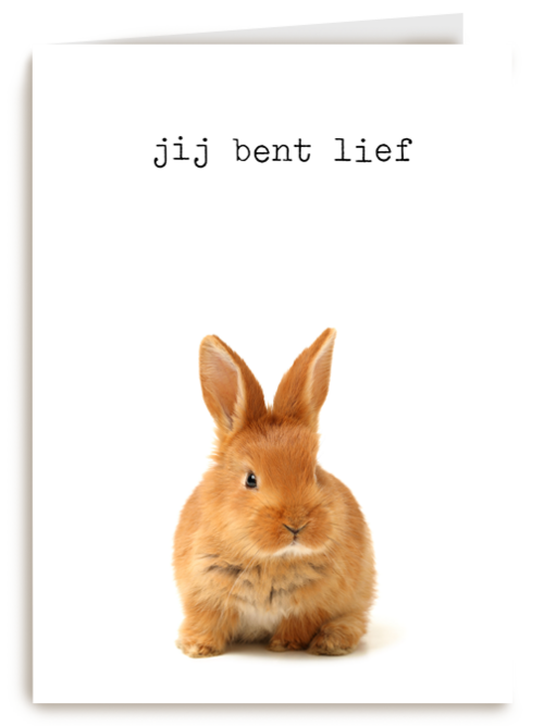 Kaart Hallmark | Liefde | Liefde Kaart Furry Cuddles Jij Bent Lief