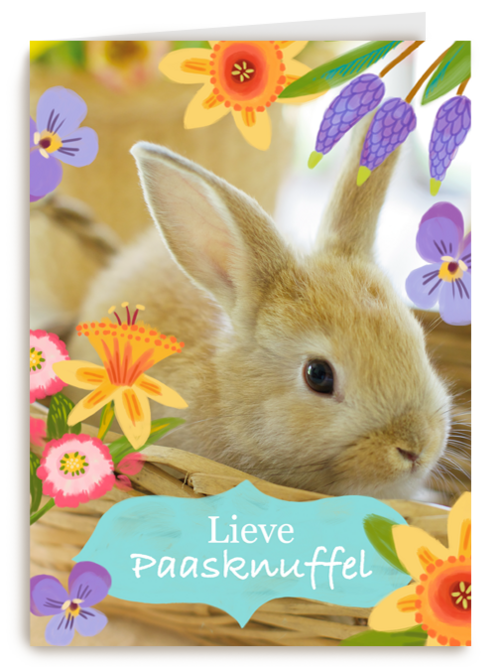 Lieve paasknuffel