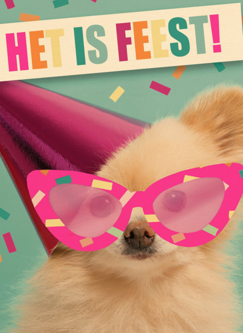 het is feest met hond met bril en hoed