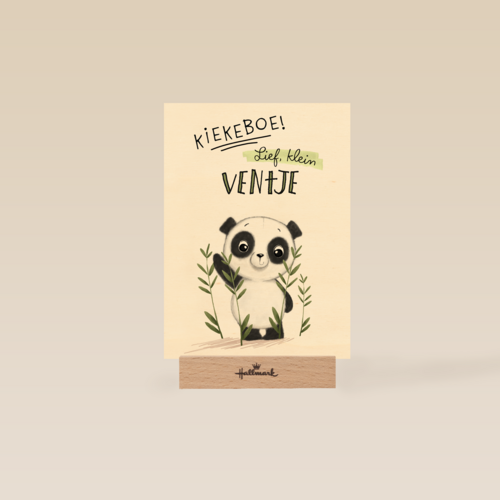 geboorte kaart zoon kiekeboe lief klein ventje