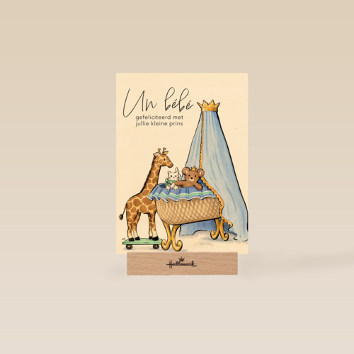 Anna Wijnands Un bebe jongen