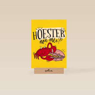 beterschapskaart hoester nou mee