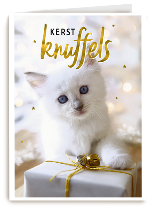 kerstknuffel van een kitten