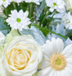 Boeket Bloemen Snow White
