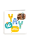Verjaardagskaart 16 yay fotokaart