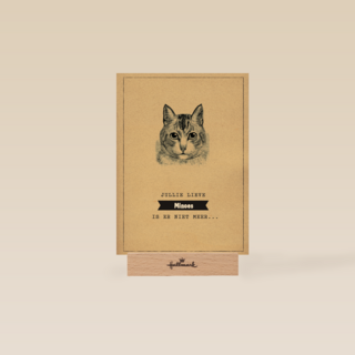 condoleance huisdier jullie lieve kat is er niet meer