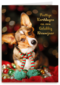 Kerstmis Hond Met Sjaal