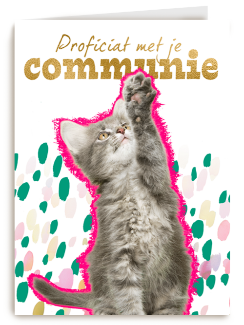 Proficiat met je communie kat