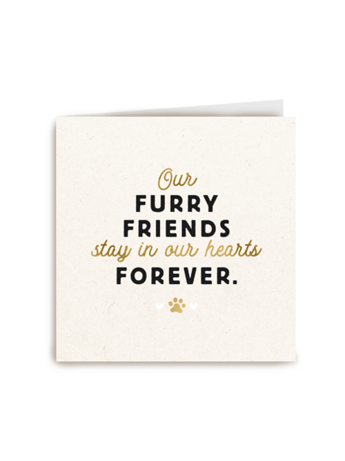 our furry friends stay in our hearts forever