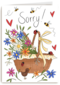 Matia Sorry