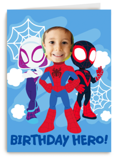 Birthday hero spidey and friends