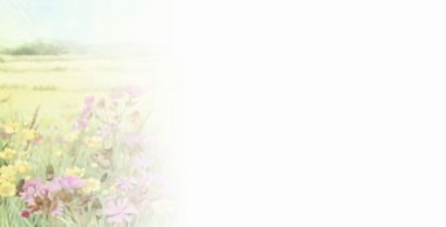 bloemen en zingende vogels
