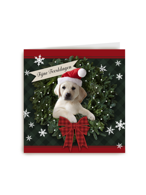 Kerstkaart hond met kerstmuts
