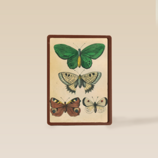 herfst kaart driemaal vlinders