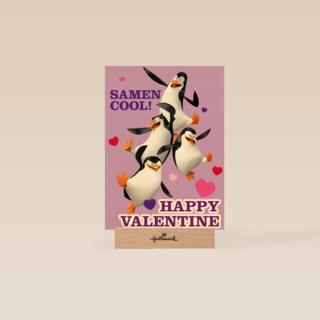 Penguins Samen Cool Valentijn