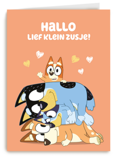 Bluey Lief Klein Zusje