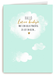 babykaart meerling hallo lieve babys groene achtergrond