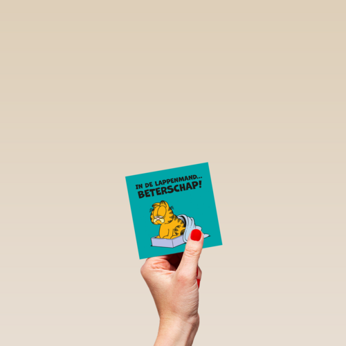 Garfield in de lappenmand
