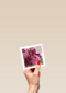 veel roze bloemen