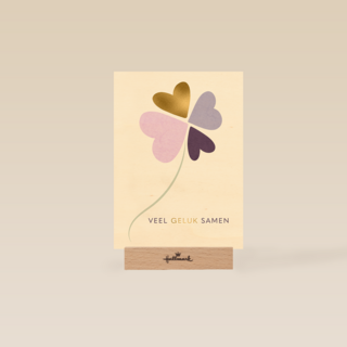 Love Story Veel Geluk Samen