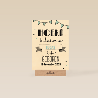 hoera een kleine prins is geboren