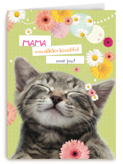 moederdag klassiek een katje voor moederdag
