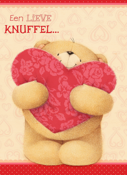 groot hart een lieve knuffel