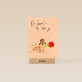 De leukste dat ben jij   hond