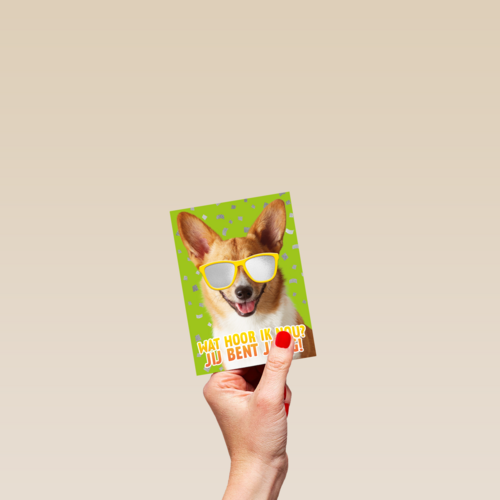 wat een coole hond voor je verjaardag