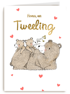 Tweeling geboortefelicitatie 2 lieve beertjes