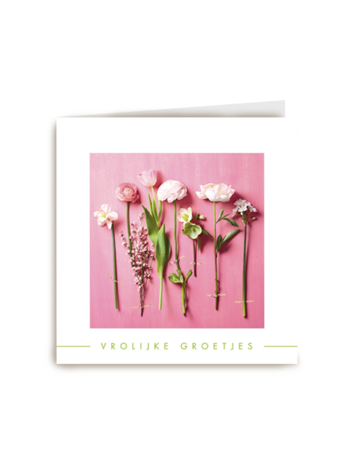 lente bloemen op roze achtergrond