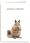 Gefeliciteerd kaart furry cuddles eekhoorn