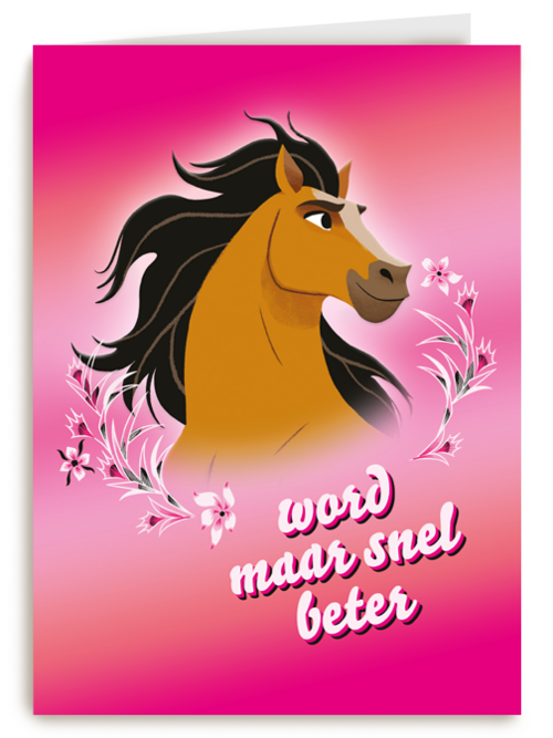 Spirit beterschapskaart