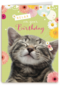 relax on your birthday
