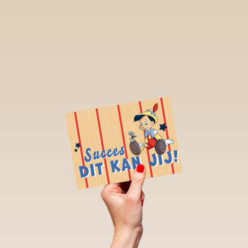 Pinocchio succes kaart dit kan jij