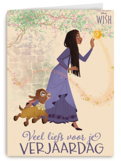 Disney wish veel liefs verjaardagskaart