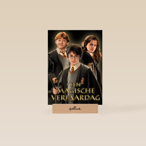 Harry Potter een magische verjaardag