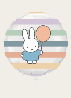 Ballon Nijntje Multi