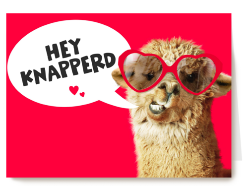 valentijnskaart grappig hey knapperd lama