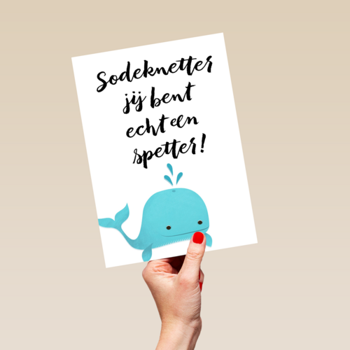 jij bent echt een spetter