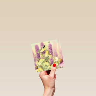 marjolein bastin blanco bloem en vogel